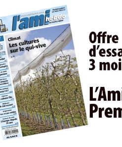 Abonnement PREMIUM 3 mois à l’Ami hebdo